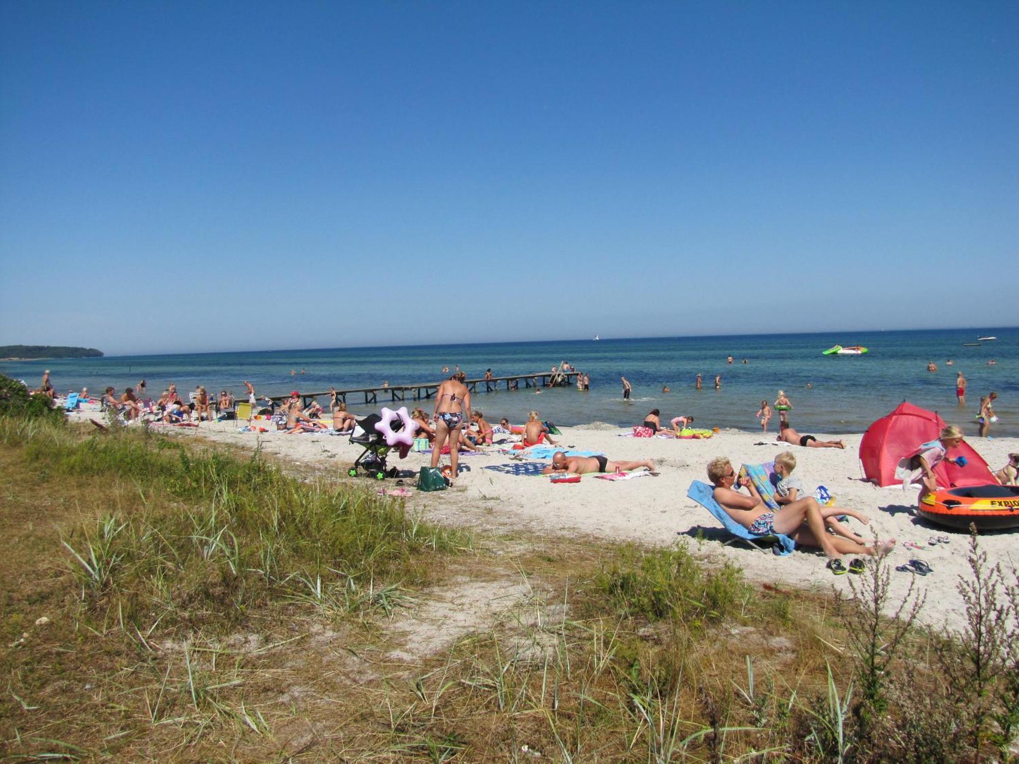 Camp Hverringe Dalby Kültér fotó